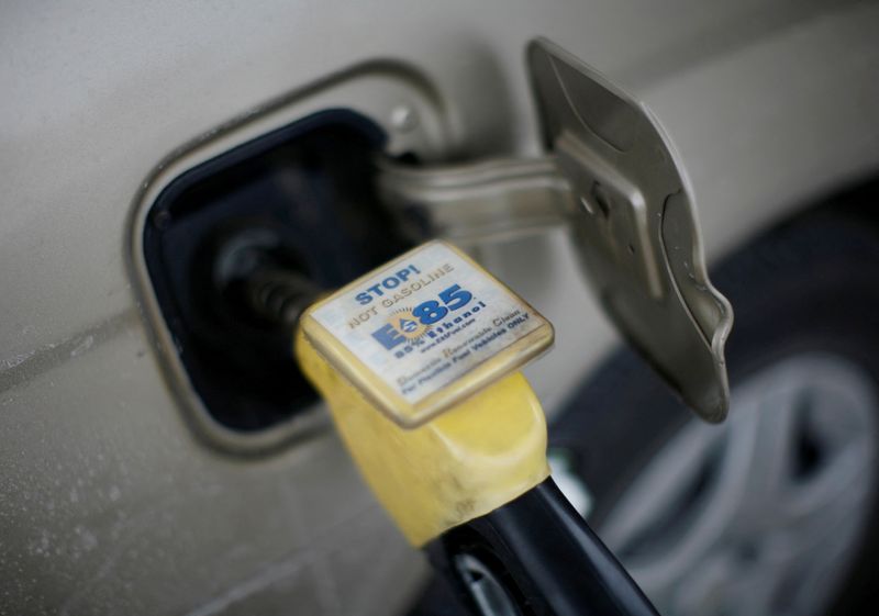 &copy; Reuters. FILE PHOTO: Ethanol fuel is shown being pumped into a vehicle at a gas station selling alternative fuels in the town of Nevada, Iowa, December 6, 2007. REUTERS/Jason Reed/File Photo