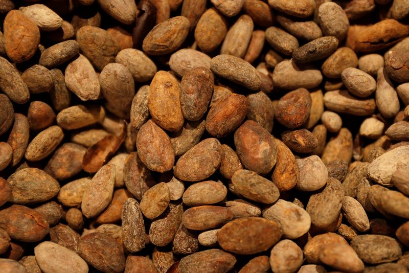 &copy; Reuters. FILE PHOTO: Roasted cocoa beans are seen on sale at Rabot 1745, in London, Britain December 1, 2017. REUTERS/Peter Nicholls/File Photo