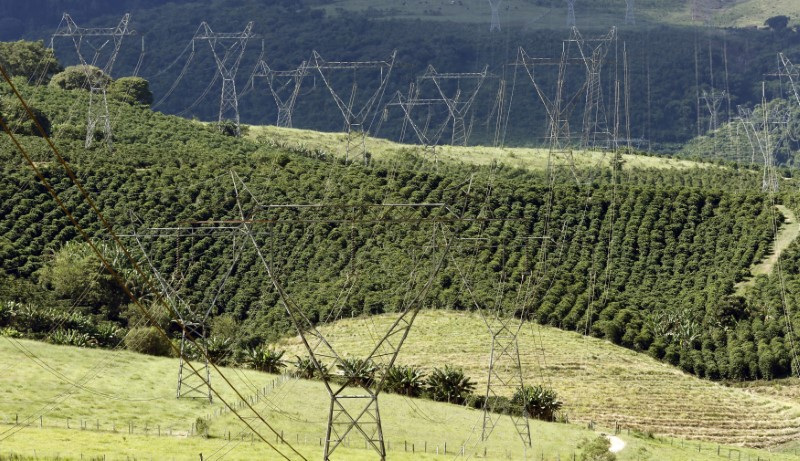 &copy; Reuters. Torres de transmissão de energia em fazenda de café em Santo Antônio do Jardimn06/02/2014 REUTERS/Paulo Whitaker