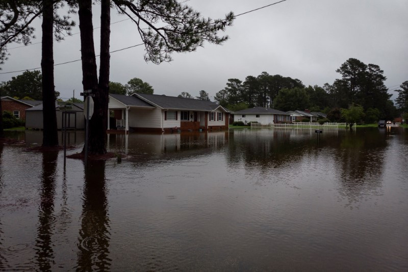 © Reuters. A flooded area is seen as Tropical Storm Debby moves across South Carolina, in Marion, South Carolina, U.S., August 8, 2024. REUTERS/Marco Bello