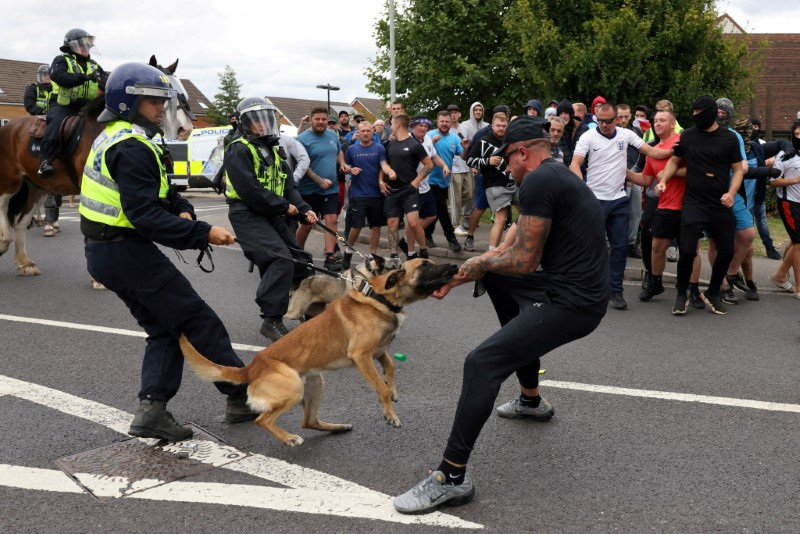 © Reuters. A police dog attacks a protester in Rotherham, Britain, August 4, 2024. REUTERS/Hollie Adams