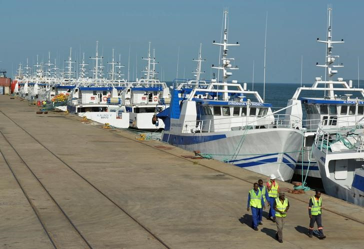 © Reuters. FILE PHOTO: The fishing fleet of Mozambique government-owned tuna fishing company EMATUM, one of three companies involved in the 