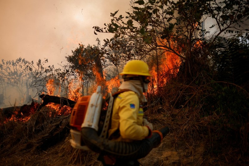 © Reuters. Brigadista do Ibama combate chamas na floresta amazônica em Apuí, no Amazonas
08/08/2024
REUTERS/Adriano Machado