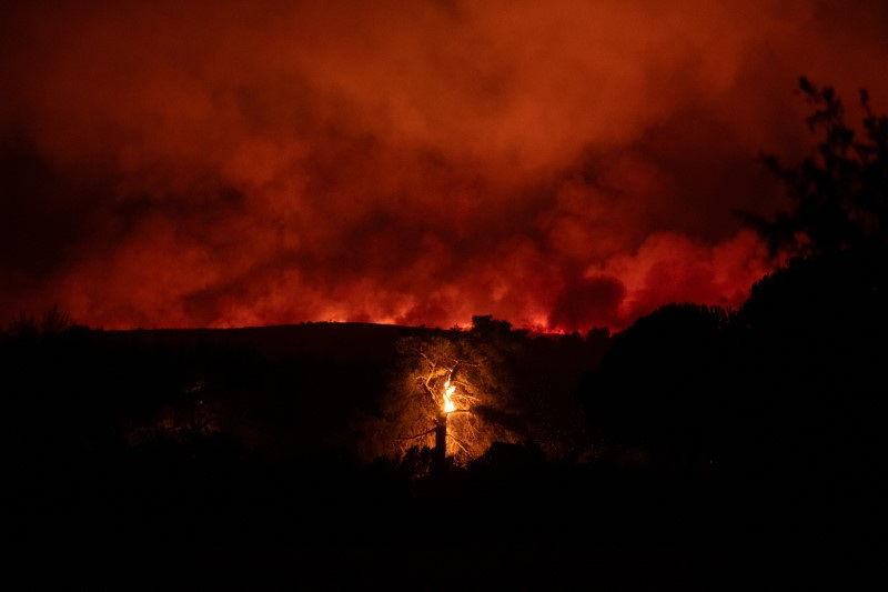 © Reuters. Varnavas, Greece, August 11, 2024. REUTERS/Hilary Swift