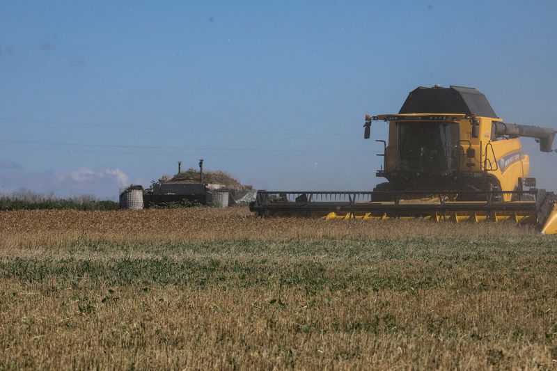 &copy; Reuters. FILE PHOTO: An agricultural worker operates a combine during wheat harvesting in a field, amid Russia's attack on Ukraine, in Kharkiv region, Ukraine July 6, 2024. REUTERS/Vyacheslav Madiyevskyy/File Photo