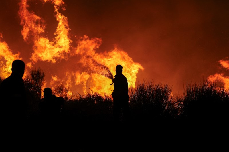 © Reuters. Firefighters try to extinguish a wildfire burning in Dionysos, Greece, August 12, 2024. REUTERS/Alexandros Avramidis