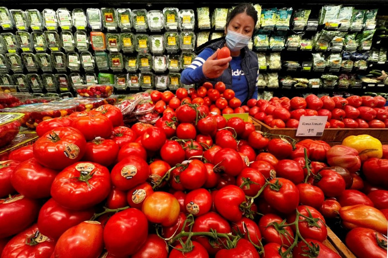 &copy; Reuters. Consumidora analisa tomates em mercado em Nova Yorkn10/03/2022 REUTERS/Carlo Allegri