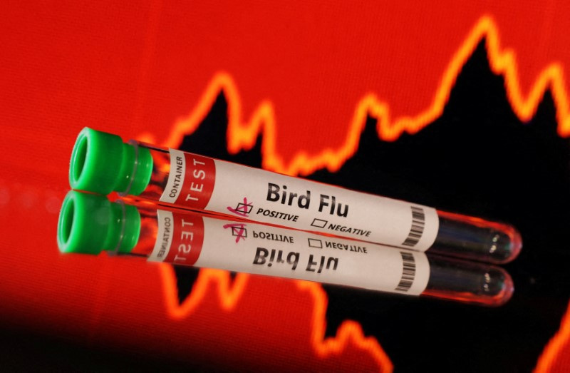 US to expand bird flu testing for beef in slaughterhouses