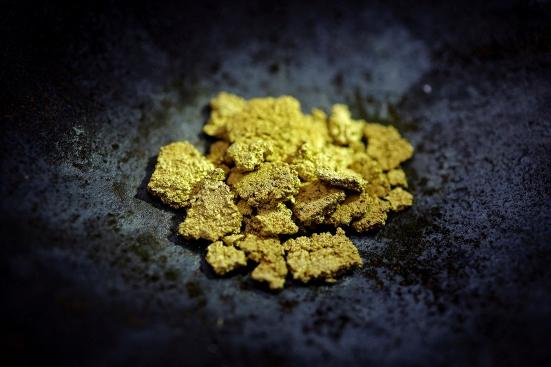 © Reuters. FILE PHOTO: Confiscated gold during an operation against illegal mining in Yanomami Indigenous land in Boa Vista, Roraima state, Brazil, December 7, 2023. REUTERS/Ueslei Marcelino/File Photo