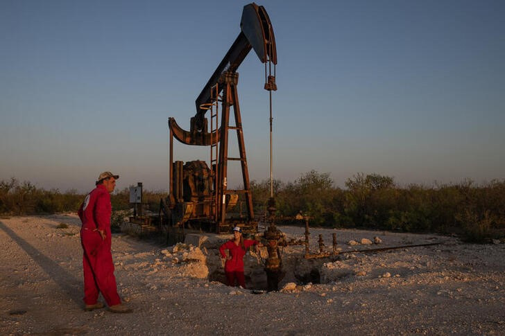 © Reuters. Hawk Dunlap, an oil well control specialist, and Sarah Stogner, an oil and gas lawyer, survey an excavated pumpjack with a leaking surface casing in Pecos County, Texas, U.S., August 6, 2024. REUTERS/Adrees Latif