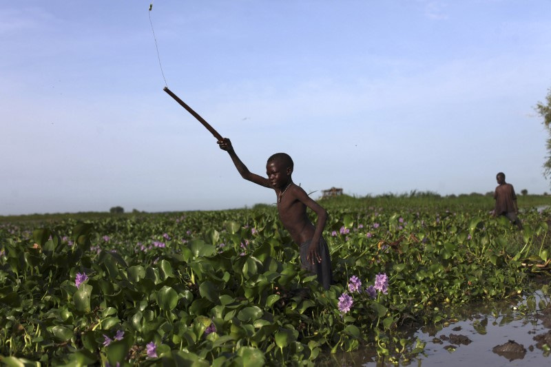 © Reuters. FILE PHOTO: A Sudanese boy, a refugee who is displaced by the war in the Nuba Mountains in Sudan, tries to catch fish in the Nile in Golo, Fashoda county in the Upper Nile State May 29, 2014. REUTERS/Andreea Campeanu/File Photo