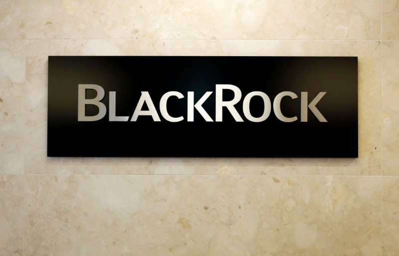 &copy; Reuters. The BlackRock logo is seen at the BlackRock Japan headquarters in Tokyo, Japan, October 20, 2016.    REUTERS/Toru Hanai