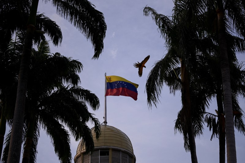 &copy; Reuters. Uma arara voa perto de bandeira venezuelana no Palácio Federal Legislativo, em Caracas, Venezuela n16/04/2024nREUTERS/Gaby Oraa