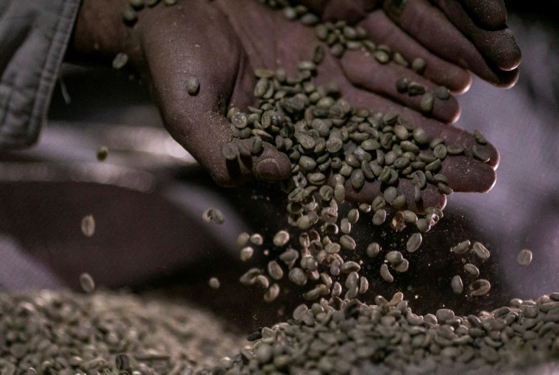 &copy; Reuters. Grãos de café de Minas Gerais