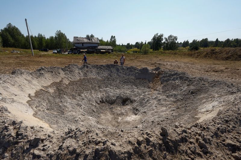 © Reuters. Outside Kyiv, August 18, 2024. REUTERS/Valentyn Ogirenko