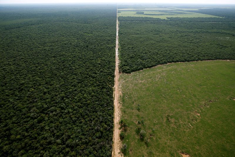 &copy; Reuters. Áreas com florestas e desmatadas perto de Las Lomitas, em Formosa, na Argentinan18/04/2023nREUTERS/Agustin Marcarian