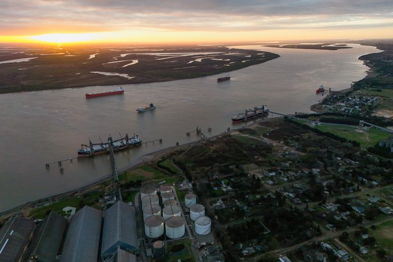 © Reuters. FILE PHOTO: A drone view shows ships used to carry grains for export on the Parana River, in Rosario, Argentina August 9, 2024. REUTERS/Matias Baglietto/File Photo