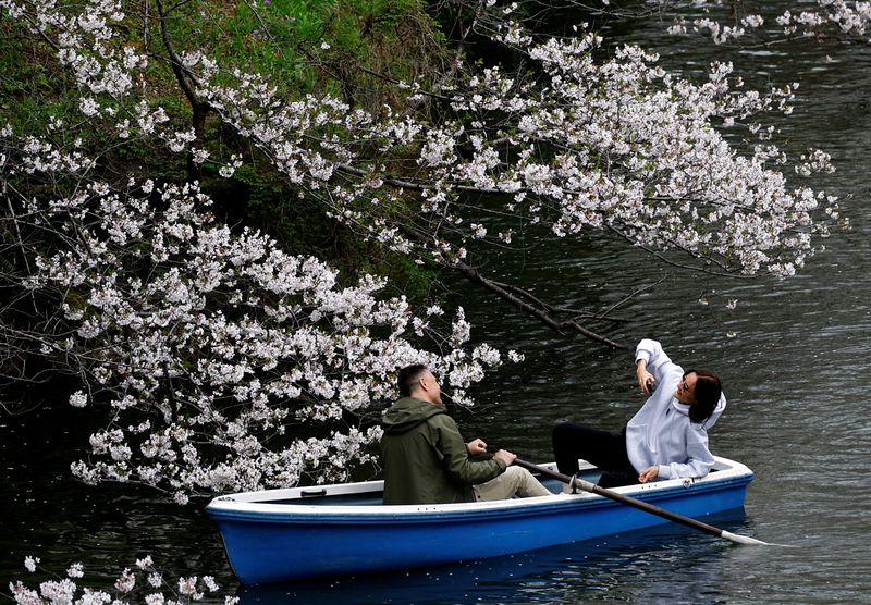 © Reuters. FILE PHOTO: Tourists ride a boat next to cherry blossoms at Chidorigafuchi Park in Tokyo, Japan April 4, 2024. REUTERS/Kim Kyung-Hoon/File Photo