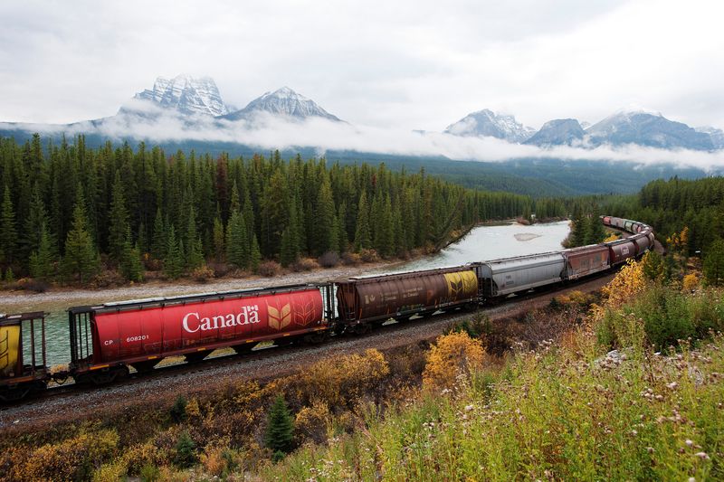 © Reuters. FILE PHOTO: Rail cars loaded with canadian wheat travel through the Rocky Mountains on the Canadian Pacific railway line near Banff, Alberta, October 6, 2011.  REUTERS/Todd Korol/File Photo