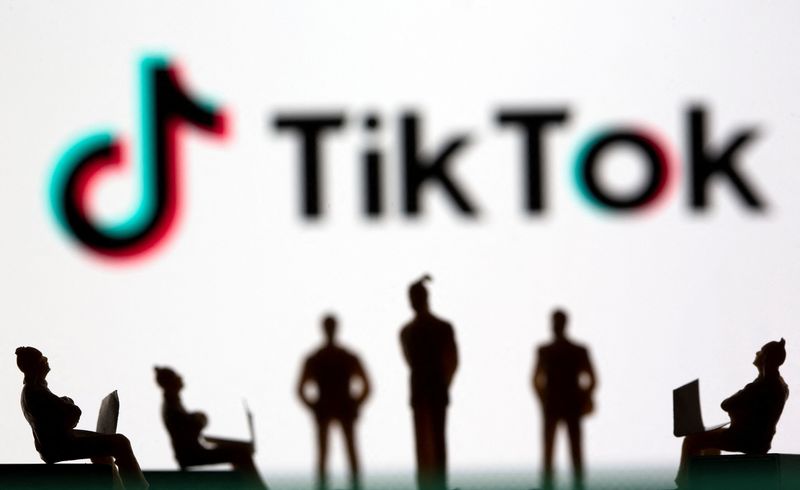 Nepal lifts TikTok ban after app addresses cyber crime concerns