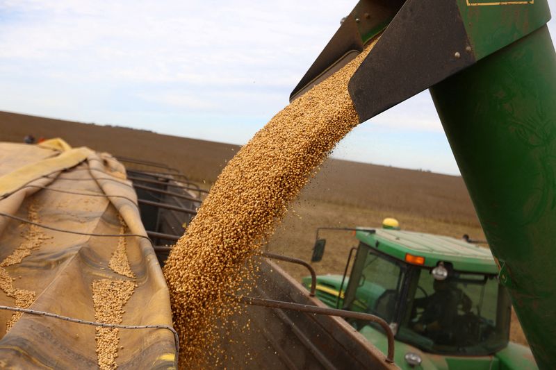 &copy; Reuters. FILE PHOTO: Soybeans are loaded on a truck after being harvested, in Pergamino, on the outskirts of Buenos Aires, Argentina, May 15, 2024. REUTERS/Matias Baglietto/File Photo