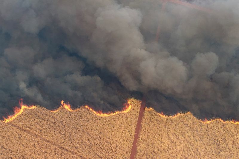 &copy; Reuters. Incêndio em canavial de SPn24/08/2024nREUTERS/Joel Silva