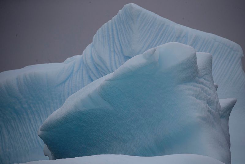 &copy; Reuters. Iceberg flutuando perto das ilhas Two Hummock, na Antártidan02/02/2020 REUTERS/Ueslei Marcelino