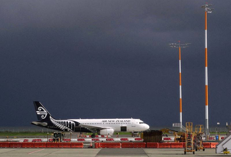 &copy; Reuters. FILE PHOTO: An Air New Zealand Airbus A320 plane sits on the tarmac at Auckland Airport in New Zealand June 25, 2017. REUTERS/David Gray/File Photo/File Photo