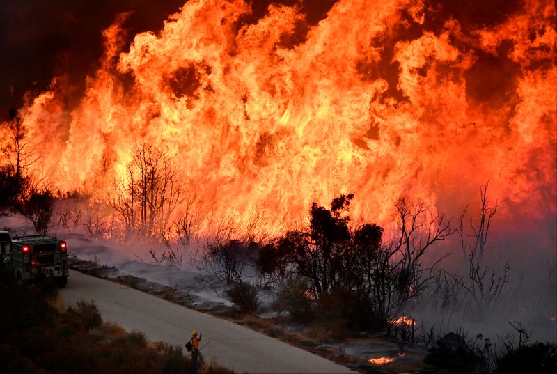 &copy; Reuters. FILE PHOTO: Fire fighters attack the Thomas Fire’s north flank with backfires as they continue to fight a massive wildfire north of Los Angeles, near Ojai , California, U.S., December 9, 2017.  REUTERS/Gene Blevins/File Photo