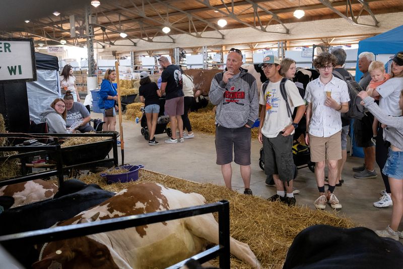 &copy; Reuters. Attendees view cows that are shown by exhibitors at the state fair in West Allis, Wisconsin, U.S., August 9, 2024. Dairy farmers are taking precautions with testing for avian flu while exhibiting cattle during the fair. REUTERS/Jim Vondruska