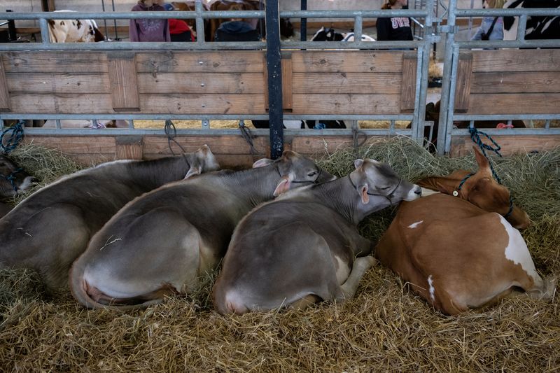 © Reuters. State fair, West Allis, Wisconsin, August 9, 2024. REUTERS/Jim Vondruska