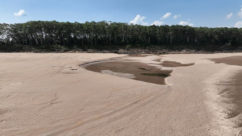 &copy; Reuters. FILE PHOTO: A view of Madeira River amid the drought in Porto Velho, Rondonia state, Brazil, August 2, 2023. REUTERS/Leonardo Benassatto/File Photo