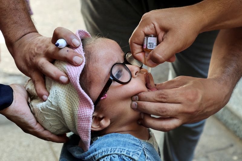 © Reuters. A Palestinian child is vaccinated against polio, amid the Israel-Hamas conflict, in Deir Al-Balah in the central Gaza Strip, September 4, 2024. REUTERS/Ramadan Abed