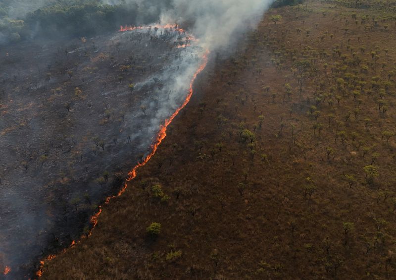 &copy; Reuters. Incêndio na Floresta Nacional de Brasílian04/09/2024nREUTERS/Ueslei Marcelino