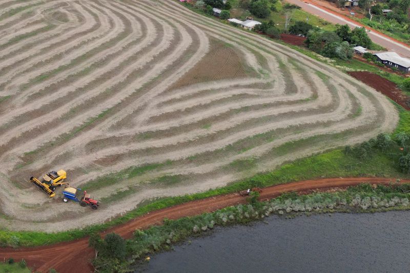 © Reuters. A drone view shows rural workers using agricultural machinery during the soybean harvesting on the Nonoai indigenous land, in Nonoai, state of Rio Grande do Sul, Brazil, April 4, 2024. REUTERS/Diego Vara