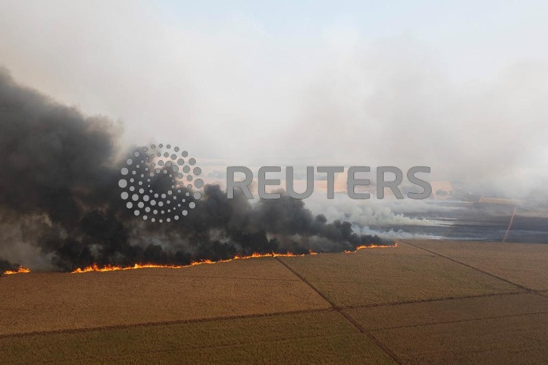 &copy; Reuters. Visão de drone mostra um incêndio em uma plantação de cana-de-açúcar perto da cidade de Dumont, em São Paulo, Brasiln24/08/2024nREUTERS/Joel Silva