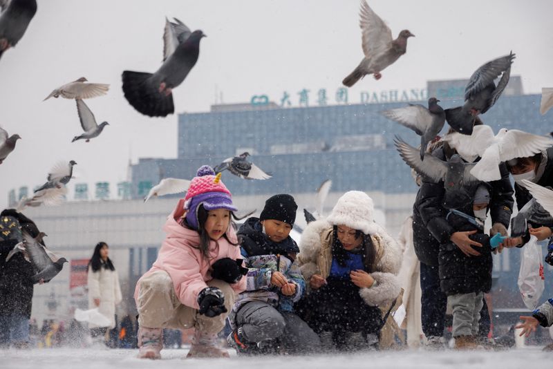 © Reuters. FILE PHOTO: Children feed pigeons in Harbin, Heilongjiang Province, China, February 10, 2023. REUTERS/Thomas Peter/File Photo