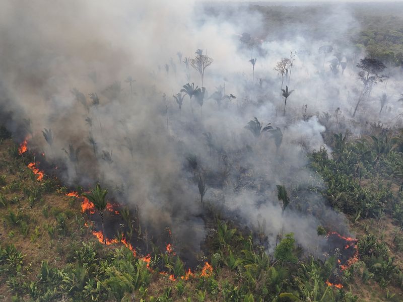 &copy; Reuters. Foco de incêndio na floresta amazônica no Estado do Amazonasn04/09/2024nREUTERS/Bruno Kelly