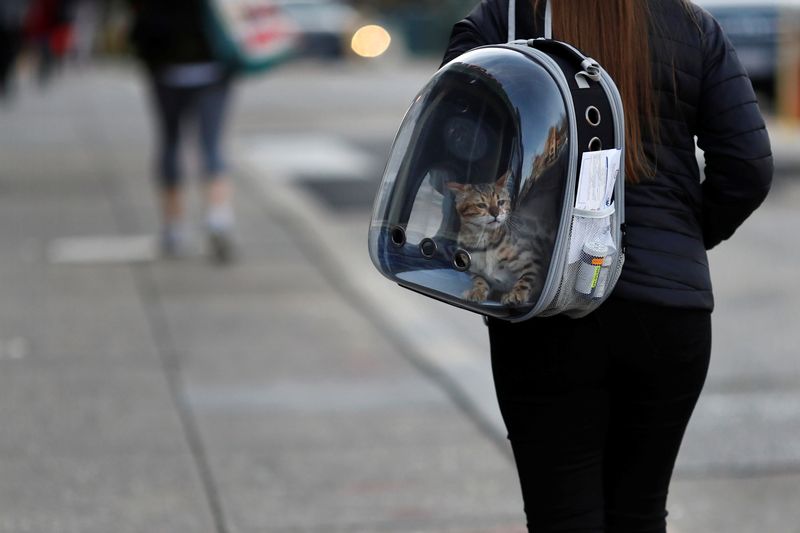 &copy; Reuters. FILE PHOTO: A woman carries her pet cat inside of a backpack as she walks along a street in downtown Washington, U.S., March 11, 2020. REUTERS/Carlos Barria/File Photo