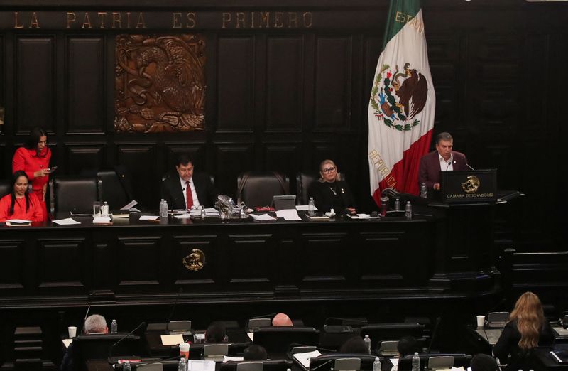 © Reuters. Senator Ricardo Sheffield gives a speech next to Senator Gerardo Fernandez Norona after members of Mexico's Senate passed the highly contested proposal on judicial reform presented by the government of President Andres Lopez Obrador, previously approved by the Chamber of Deputies and backed by senators at the commission stage, in Mexico City, Mexico September 11, 2024. REUTERS/Henry Romero