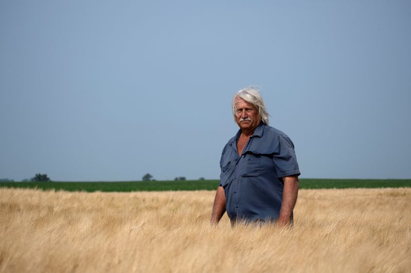 &copy; Reuters. Don Nygaard poses for a photo at his barley farm a few weeks before harvest, in Sharon, North Dakota, U.S., July 26, 2024. REUTERS/Heather Schlitz