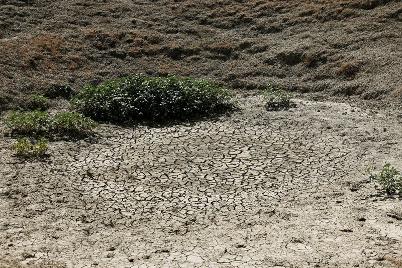 &copy; Reuters. FILE PHOTO: A dried lake is seen at Azienda Agricola organic farm following a drought on the Italian island of Sicily, in Caltanissetta, Italy, August 25, 2024. REUTERS/Louiza Vradi/File Photo