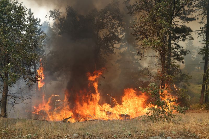 © Reuters. Bridge Fire threatening mountain communities to the northeast of Los Angeles, burns near the Mountain High Ski Resort in Wrightwood, California, U.S. September 11, 2024.  REUTERS/Mario Anzuoni