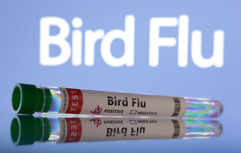 &copy; Reuters. FILE PHOTO: Test tubes are seen labelled "Bird Flu" words in this illustration taken, June 10, 2024. REUTERS/Dado Ruvic/Illustration/File Photo