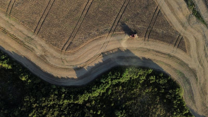 &copy; Reuters. Colheita de soja em Ponta Grossa, Paraná