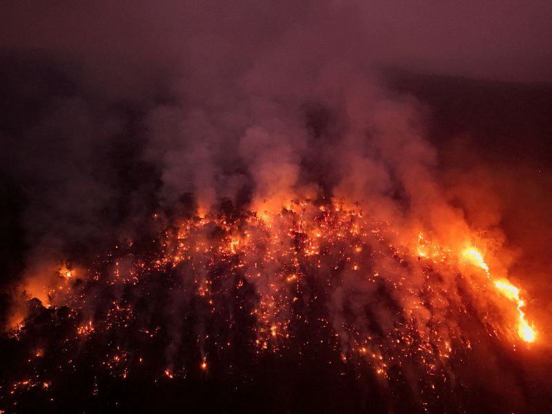 &copy; Reuters. FILE PHOTO: A view of the devastation caused by a forest fire in the Amazon in an area of the Trans-Amazonian Highway BR230 in Labrea, Amazonas state, Brazil September 4, 2024. REUTERS/Bruno Kelly/File Photo