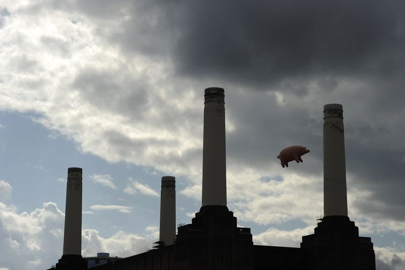 © Reuters. An inflatable pink pig flies above Battersea Power Station in London September 26, 2011. REUTERS/Paul Hackett