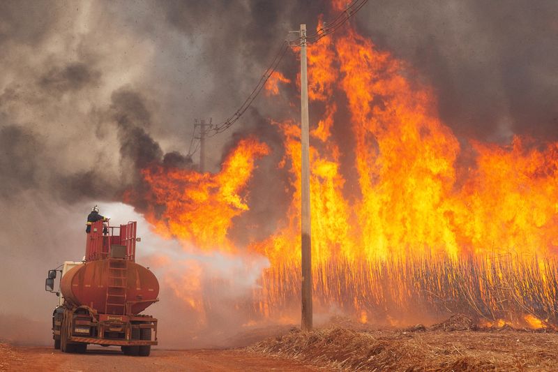 &copy; Reuters. FILE PHOTO: A fire fighter tries to put out fire in a sugar cane plantation near Dumon city, Brazil, August 24, 2024. REUTERS/Joel Silva/File Photo