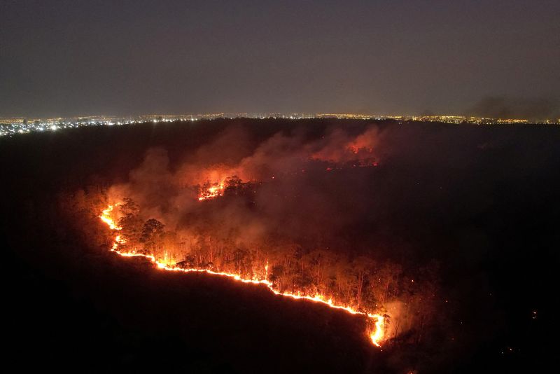 &copy; Reuters. FILE PHOTO: A drone view shows wildfires in an area of Brasilia's National Forest, in Brasilia, Brazil, September 4, 2024. REUTERS/Adriano Machado/File Photo