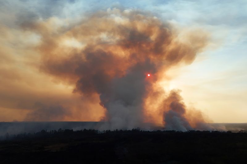 © Reuters. A drone view shows smoke rising from wildfires in Brasilia National Park, in Brasilia, Brazil, September 15, 2024. REUTERS/Ueslei Marcelino